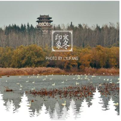 6776099434537.png 6776099434537.png