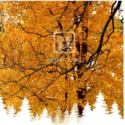 677609968c6ba.png 677609968c6ba.png