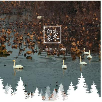 677609986c434.png 677609986c434.png