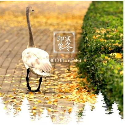 67760999cf50b.png 67760999cf50b.png