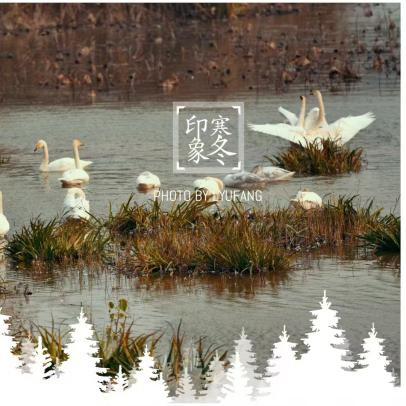 6776099aeb692.png 6776099aeb692.png